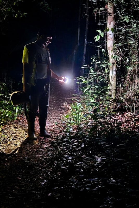 A person stands on a forest trail at night, holding a flashlight that illuminates plants and the path ahead. The individual wears boots, a hat, and outdoor clothing, surrounded by trees and darkness.