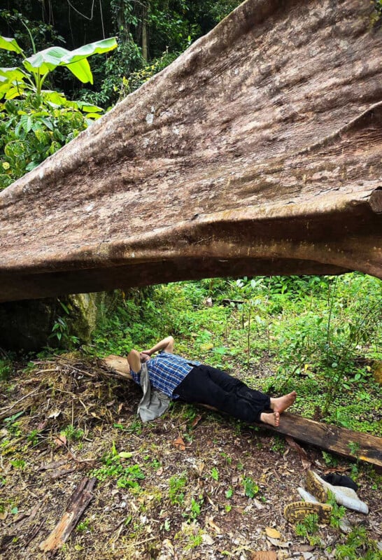 A person lies barefoot on the ground beneath a large, fallen tree trunk in a lush, green forest. The person wears a plaid shirt and dark pants, gazing upward with hands behind their head. Dense foliage surrounds the area.
