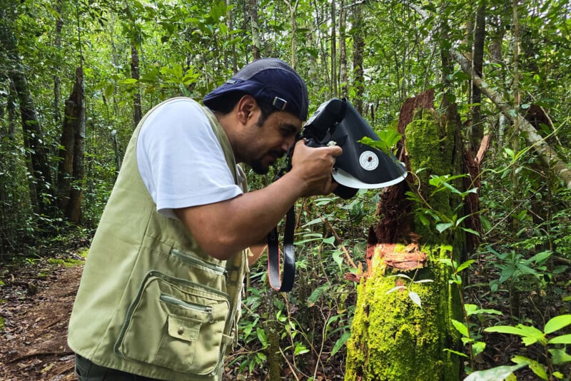 A person in a vest and cap uses a camera to photograph a moss-covered, broken tree trunk in a dense, green forest.