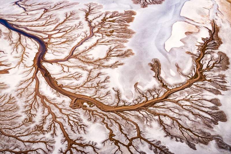 Aerial view of a river delta with brown winding channels branching through white and beige sand, resembling tree roots or veins against a textured background.
