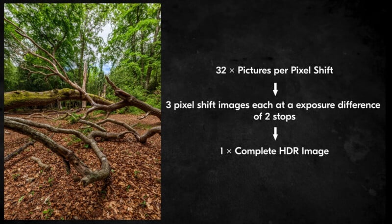 A forest scene with twisted trees on the left; on the right, a diagram explains creating an HDR image by taking 32 pixel shift pictures, 3 exposures at 2-stop differences, combining into one HDR photo.