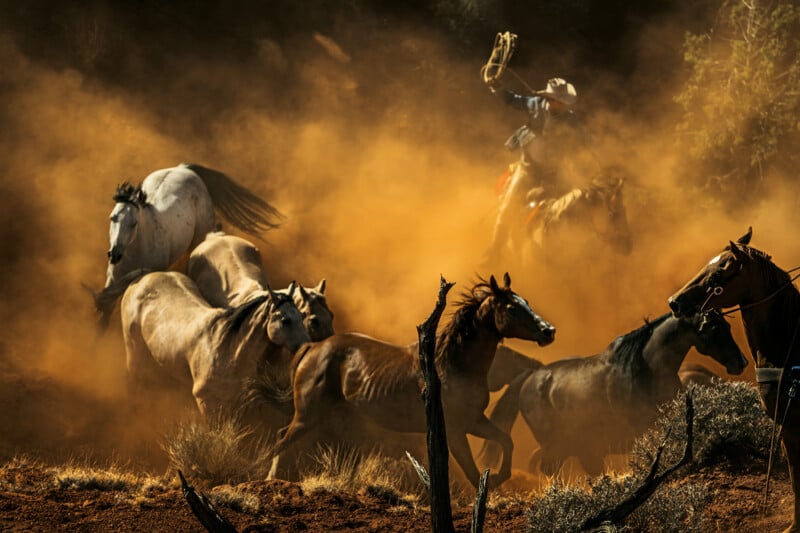 A cowboy on horseback swings a lasso while herding several running horses through a dusty landscape, with sunlight illuminating the swirling dust and surrounding brush.