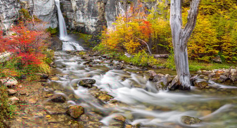 A waterfall flows into a rocky stream surrounded by vibrant autumn foliage in shades of red, orange, and yellow, with a tall bare tree trunk on the right side of the image.