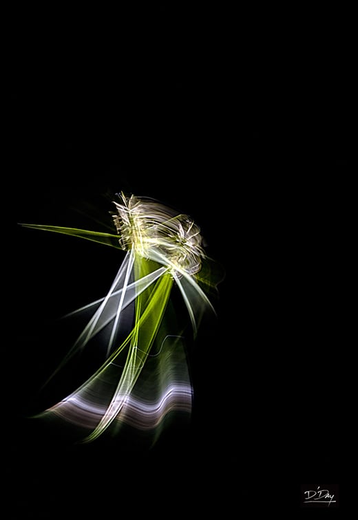 Abstract light painting featuring streaks of green, white, and yellow against a black background, with swirling, wispy lines resembling a futuristic flower or insect in motion. A small signature is visible in the bottom right corner.