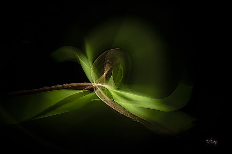 Abstract image with flowing green and brown shapes resembling swirling ribbon or leaves, set against a black background, creating a sense of motion and light.