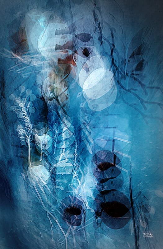 Abstract digital artwork in blue tones, featuring translucent, overlapping shapes and botanical elements like leaves and stems, creating a dreamy, underwater effect with soft light and shadow contrasts.