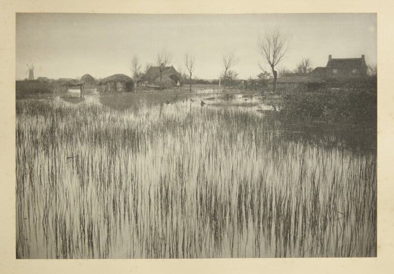 A flooded field with tall reeds in the foreground and several houses, leafless trees, and a windmill in the background under a cloudy sky.