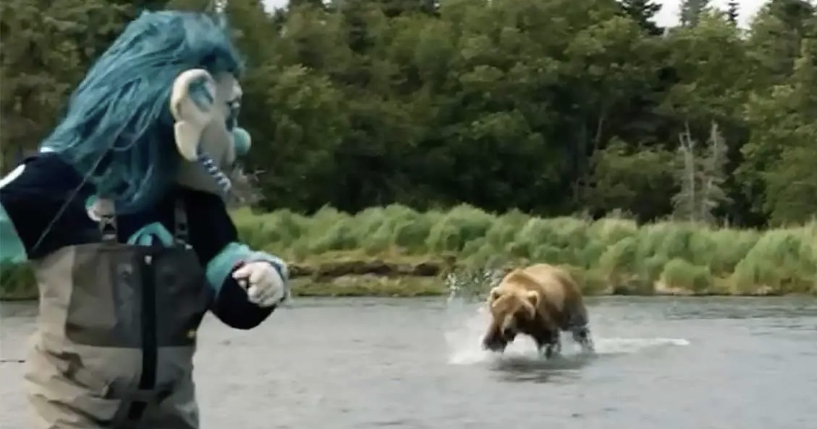  hockey team mascot charged grizzly bear while filming 