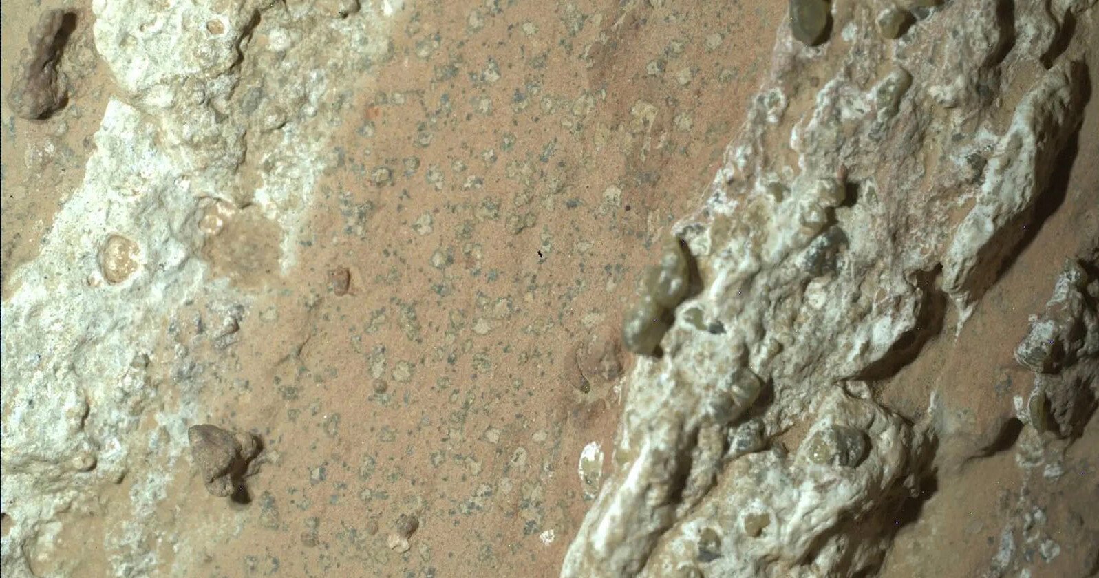 NASA Photo of Martian ‘Leopard’ Rock is Strongest Hint of Life Yet