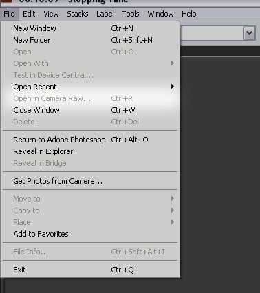 how to open photos in camera raw