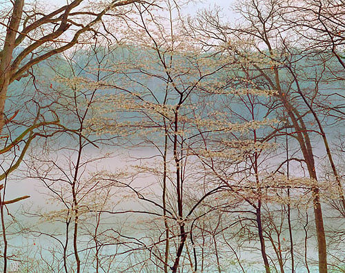 Mist on the Potomac, Fort Washington, Maryland  1999