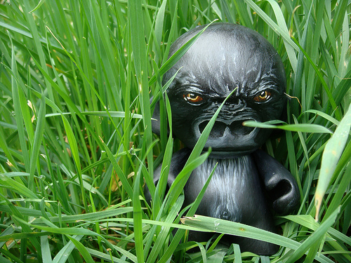 gorilla munny