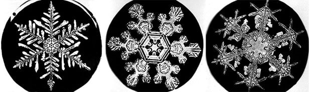 This American claims to have taken the highest-resolution photo of a  snowflake ever 
