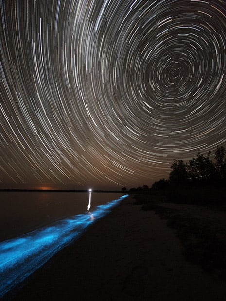 How to Photograph Bioluminescent Oceans