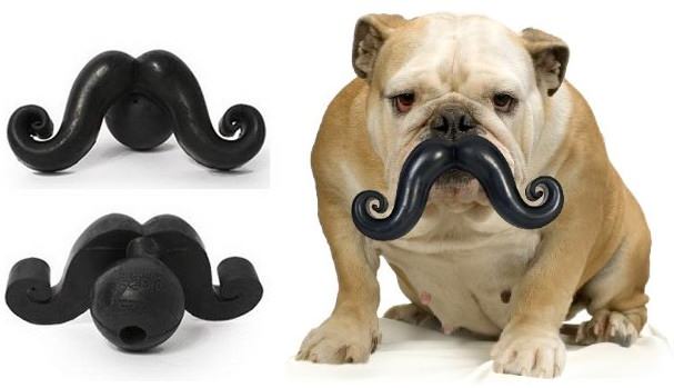 funny face dog toy