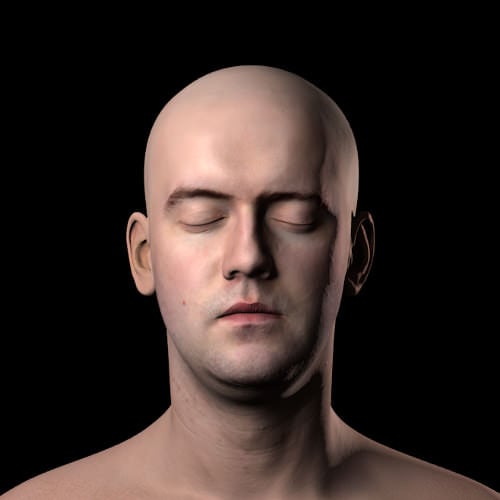 i finally made a good model of a person. how good is it? : r/blender