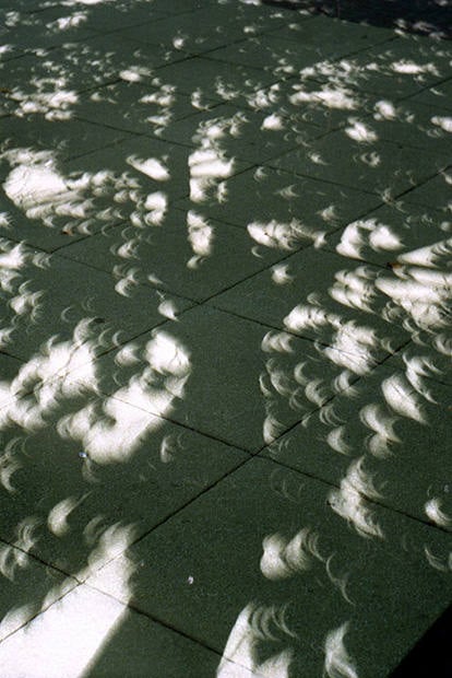 Tree Leaves as "Pinhole Cameras" During a Solar Eclipse