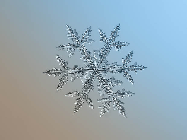 snowflake-9b