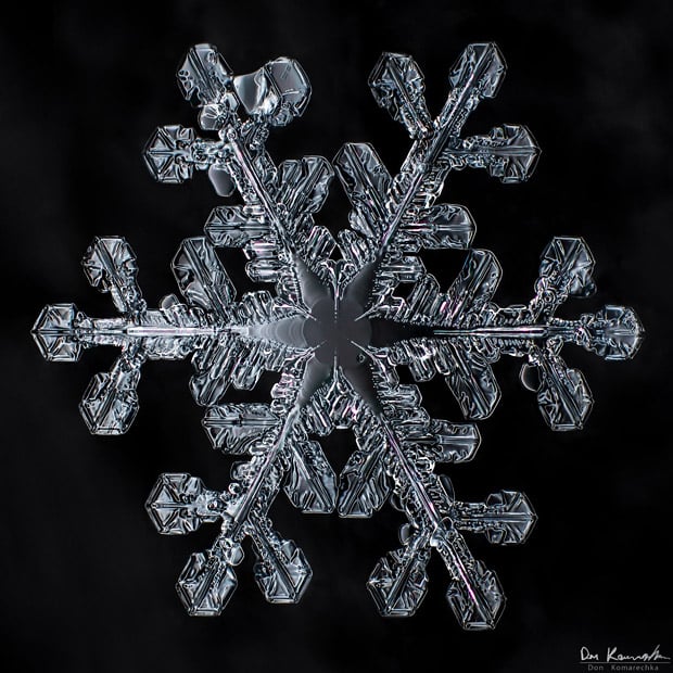 The Snowflake Photographer