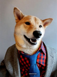 Menswear Dog Features Photos of Men's Fashion, Modeled by a Shiba Inu ...