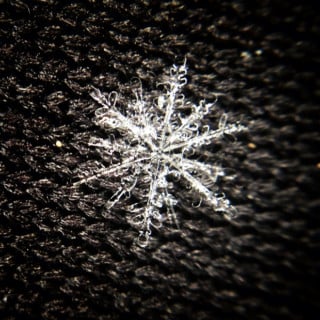 Macro Snowflake Photos Captured Using an iPhone and $5 Lens Add-On ...