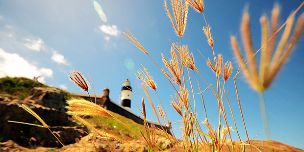 Alves_filho-barra-lighthouse (11)