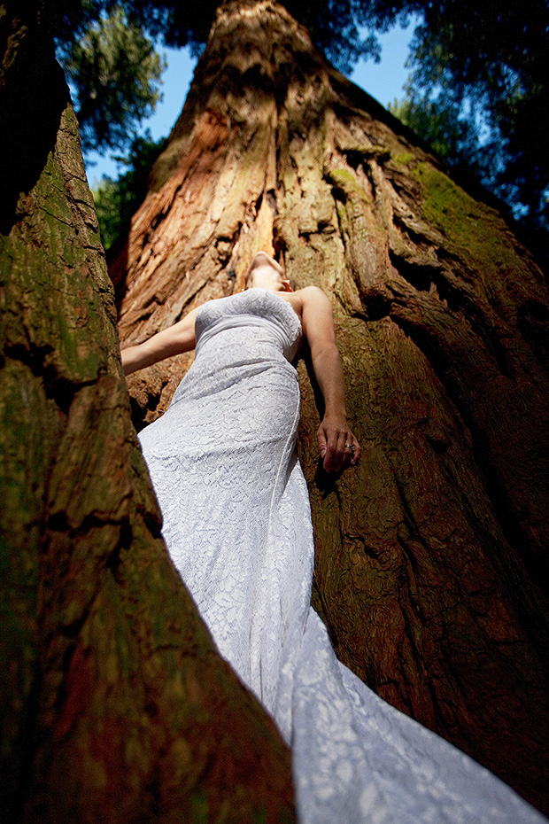 Redwood National Forest, California