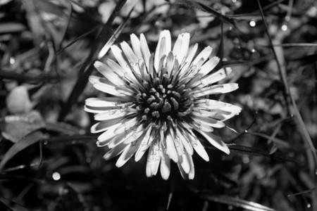 A Beginners Guide to UV Reflectance in Photography | PetaPixel