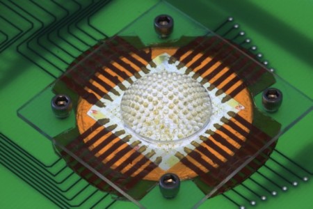 First Working Compound Eye Cam Gets a Bee's-Eye-View of the World ...