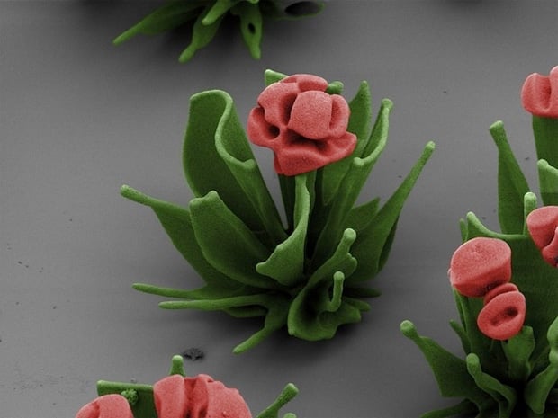 Crystal Microscopic Flowers