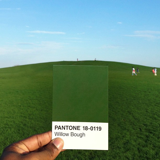 pantone9