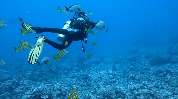 One of the divers in the group captured by the photographer/cameraman