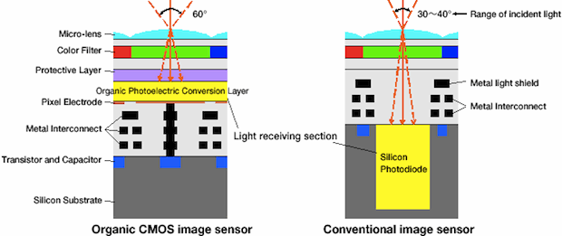 organicsensor1