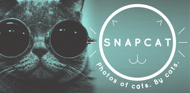 snapcat_1
