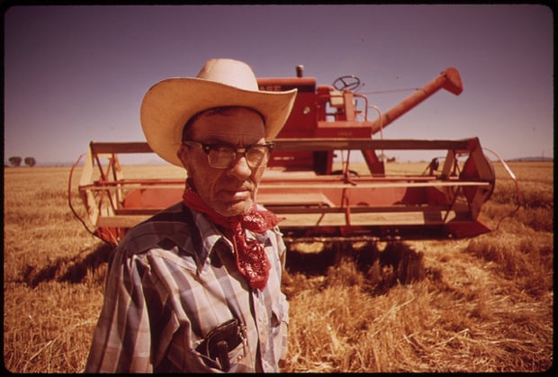 "Harvesting a Palo Verde Valley wheat field..." by Charles O'Rear