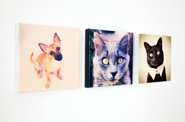 Inkjet printed canvas wraps with solid-color edging; courtesy ink361