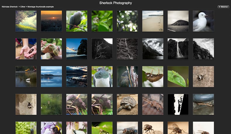 imageviewer gallery with thumbnails