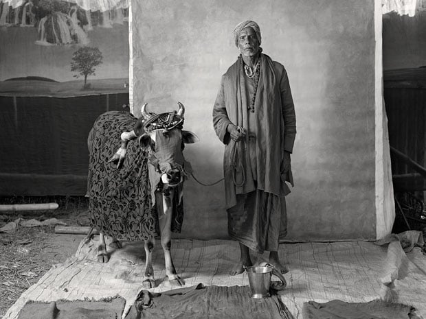 A holy brahmin with a deformed cow
