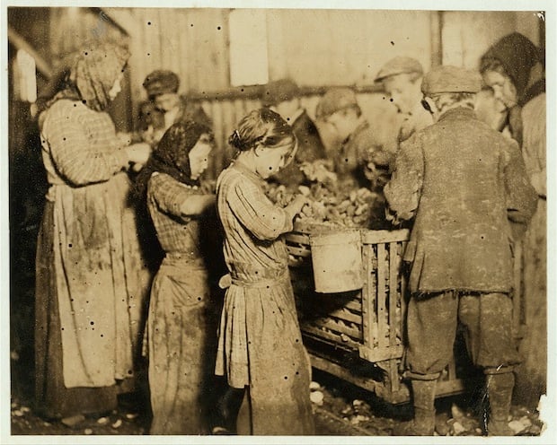 Shuckers in the Varn & Platt Canning Company. This 4-year-old in the foreground was helping some. Six of the shuckers were 10 years and up to twelve. Location: Younges Island, South Carolina.