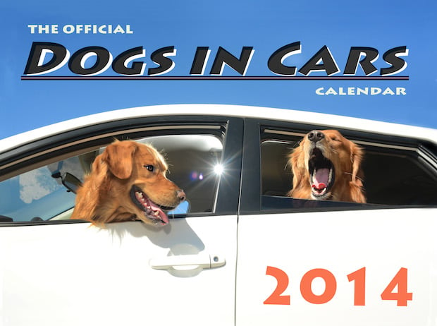 dogsincars10