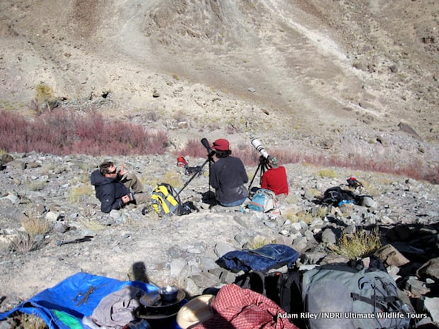 Enjoying a hot meal whilst watching a Snow Leopard -- more than we could have wished for!