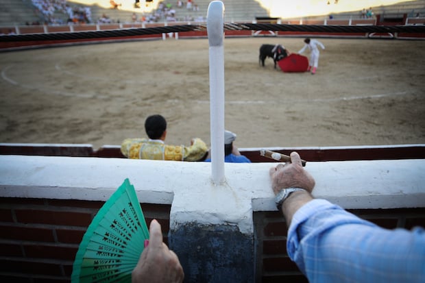 Spectators at a bull fight in San Sebastian de los Reyes, Spain - Credit: Jo-Anne McArthur/We Animals