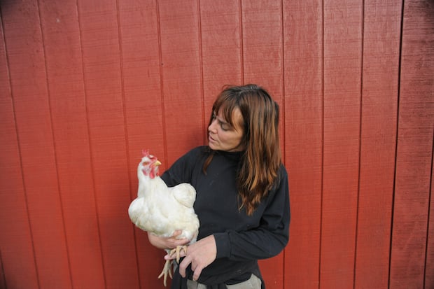Susie with Lucille, a rescued chicken.  Susie Coston is Farm Sanctuary's National Shelter Director.  In an interview w/ Jo-Anne McArthur, she reflects on 10 years at  this animal shelter, which she calls home.  Farm Sanctuary's mandate is to rescue, educate and advocate for animals used in the food industry.  The Sanctuary is located near Watkin's Glen, NY. - Credit: Jo-Anne McArthur/We Animals