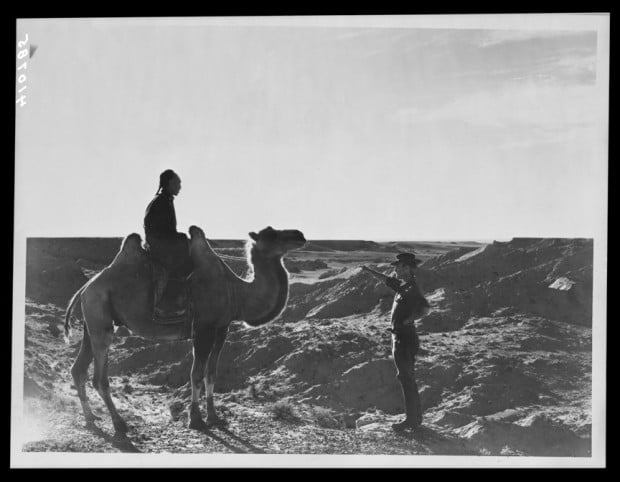 Roy Chapman Andrews with Merin on camel, Mongolia, 1925
