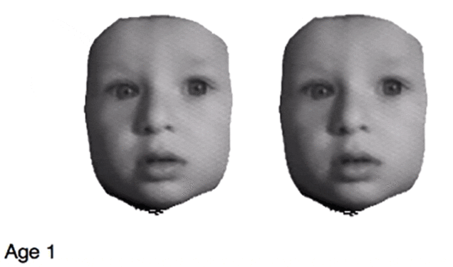 face morph age progression online