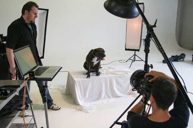 BTS photo of his portrait setup. Ring light on his Phase One, overhead beauty dish, and two strip lights behind him.