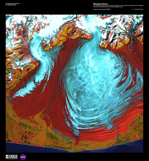 Malaspina Glacier, August 1st, 2000