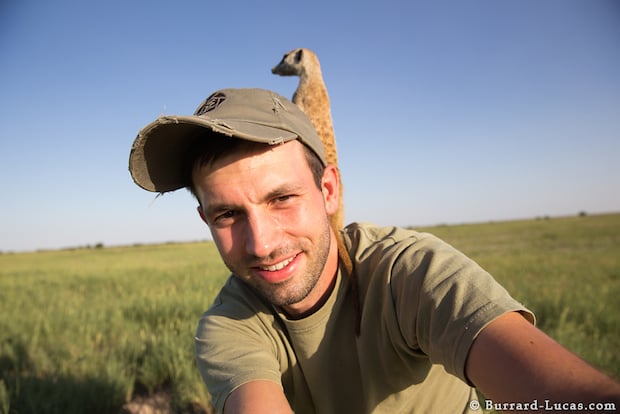 Meerkat Selfie