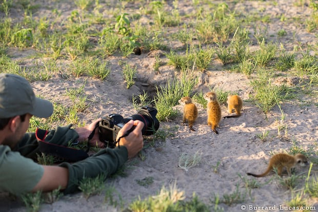 Photographing Babies