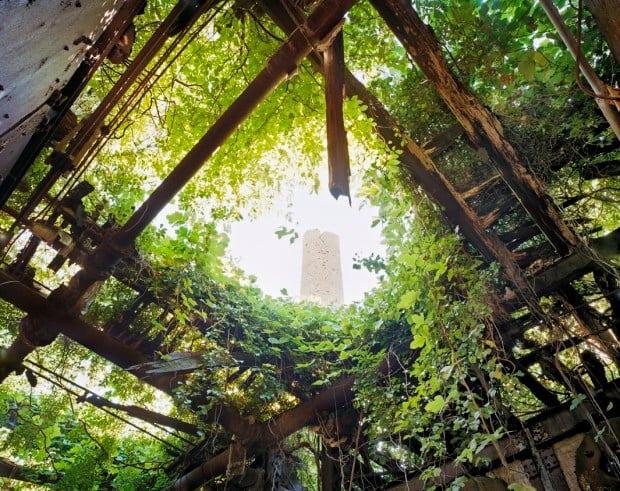 Boilerplant Roof Interior, North Brother Island, New York